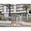 幼稚園、保育園