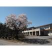 中学校