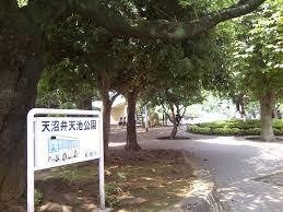 天沼弁天池公園