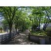 公園