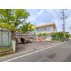 幼稚園、保育園