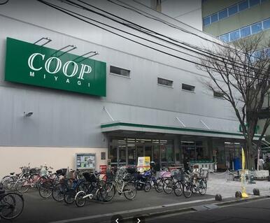 ＣＯＯＰ　ＭＩＹＡＧＩ柏木店