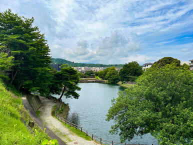 家の前の風景　気持ちのいいロケーション