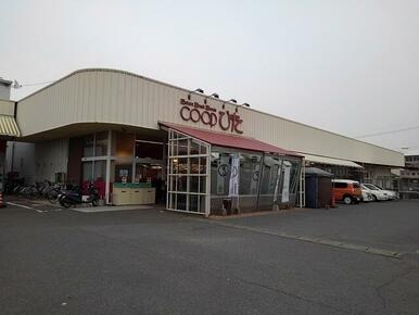 コープ新治店