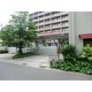 幼稚園、保育園