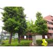 公園