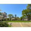 公園