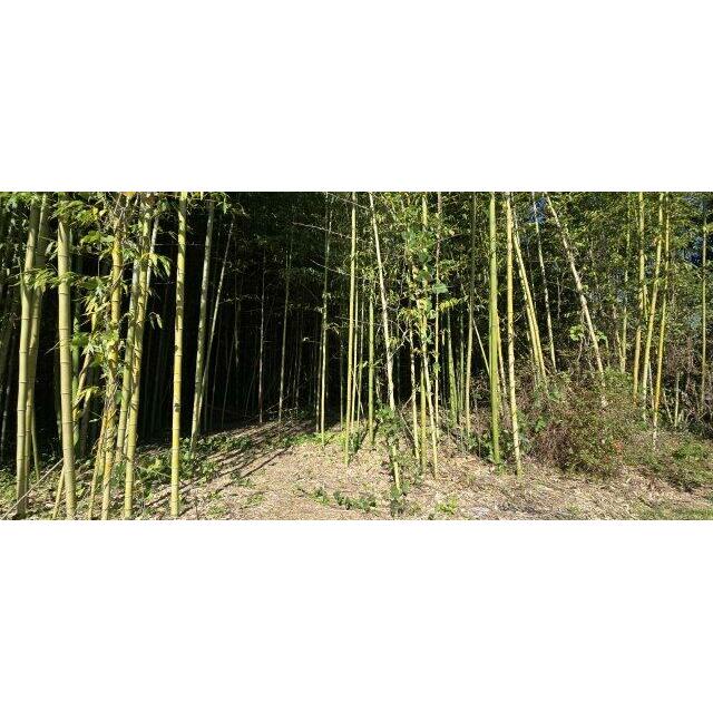 君津IC7km車で約11分！