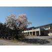 中学校