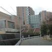 大学