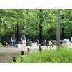 公園