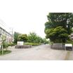 公園