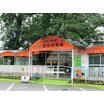 幼稚園、保育園