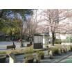 公園