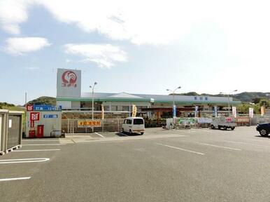 コメリハード＆グリーン館山大神宮店