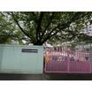 幼稚園、保育園