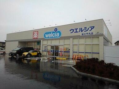 ウエルシア　中丸店まで1100m