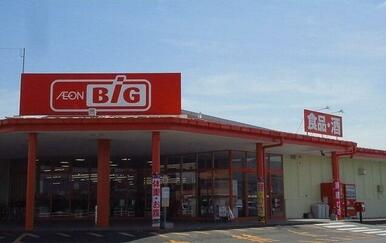 ザ　ビッグ白石店