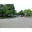公園