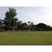 公園