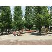 公園