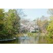 公園