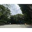 公園