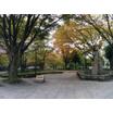 公園
