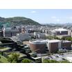 大学