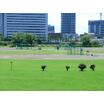 公園