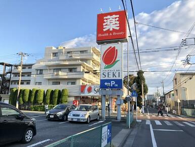 ドラッグストアセキ堀の内町店