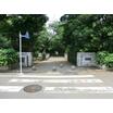 公園