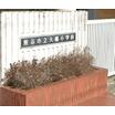 小学校