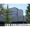 大学