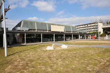 サンプラザ三原台店