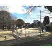 公園
