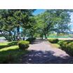 公園