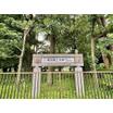 大学