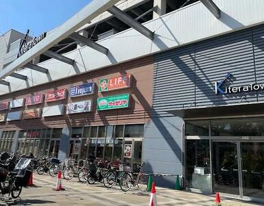 ライフキテラタウン調布店