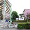 大学