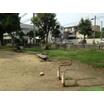 公園