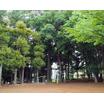 公園