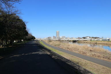 綱島駅へ向かう遊歩道