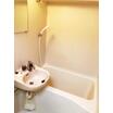 バス/シャワー