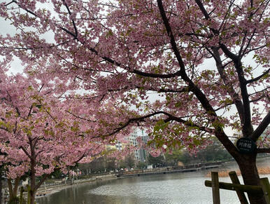 東京都上野恩賜公園