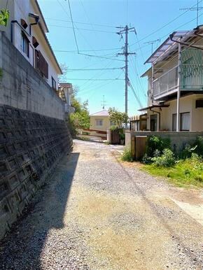 2025年5月撮影