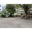 公園