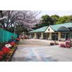 幼稚園、保育園