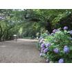 公園