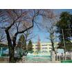 小学校